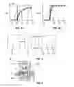 Fig. 04 - Apparatus and method for the detection of timing components in swimming pools