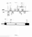 Fig. 20 - Wireless gaming protocol