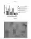 Fig. 11 - PICKERING EMULSION FORMULATIONS
