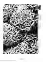 Fig. 08 - PROCESS FOR PREPARING A SURFACE-MODIFIED MATERIAL