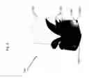 Fig. 06 - CHAMBER FREE NANOREACTOR SYSTEM