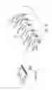 Fig. 11 - High speed intermittent barrier nozzle
