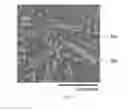 Fig. 09 - Thermal spray assembly and method for using it