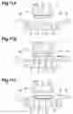 Fig. 12 - Forming apparatus and forming method