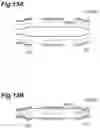 Fig. 14 - Forming apparatus and forming method