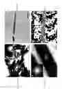 Fig. 02 - Nanowire-based magnets and methods of making same