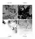 Fig. 07 - Nanowire-based magnets and methods of making same