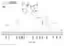 Fig. 02 - PROCESS FOR MAKING SILVER NANOSTRUCTURES AND COPOLYMER USEFUL IN SUCH PROCESS