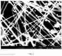 Fig. 10 - PROCESS FOR MAKING SILVER NANOSTRUCTURES AND COPOLYMER USEFUL IN SUCH PROCESS