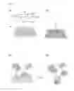 Fig. 02 - Controllable and reversible pH-responsive rollable 2D nano structures