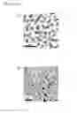 Fig. 04 - Controllable and reversible pH-responsive rollable 2D nano structures