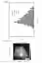 Fig. 06 - Controllable and reversible pH-responsive rollable 2D nano structures