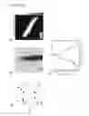 Fig. 09 - Controllable and reversible pH-responsive rollable 2D nano structures