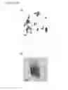 Fig. 16 - Controllable and reversible pH-responsive rollable 2D nano structures
