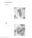 Fig. 23 - Controllable and reversible pH-responsive rollable 2D nano structures