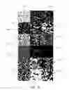 Fig. 16 - SYSTEMS AND METHODS FOR WAVE FUNCTION BASED ADDITIVE MANUFACTURING