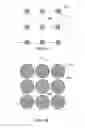 Fig. 07 - SUBSTRATE PRETREATMENT FOR REDUCING FILL TIME IN NANOIMPRINT LITHOGRAPHY
