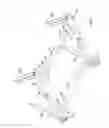 Fig. 03 - Fifth wheel hitch mounting system