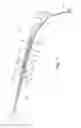 Fig. 02 - Wiper device for vehicle windows