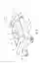 Fig. 07 - Wiper device for cleaning vehicle windows