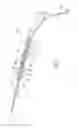 Fig. 02 - Wiper arm for cleaning a vehicle window