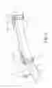 Fig. 03 - Folding bicycle