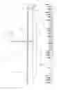 Fig. 02 - Shallow water anchor