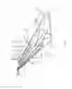 Fig. 06 - Watercraft Launch