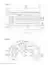 Fig. 26 - Shock absorber for propeller unit, propeller unit, and vessel propulsion apparatus