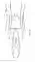 Fig. 20 - ROTOR DRIVEN AUXILIARY POWER APPARATUS AND METHOD