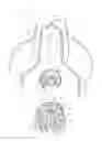 Fig. 02 - One-way valve for a compressible container and container with such a valve