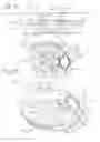Fig. 12 - LID ASSEMBLIES FOR HOT BEVERAGE DRINKING VESSELS AND HOT BEVERAGE DRINKING VESSELS INCLUDING THE SAME