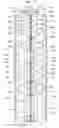 Fig. 19 - Container raising/lowering conveyance apparatus