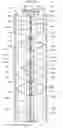 Fig. 19 - Container raising/lowering conveyance apparatus