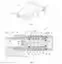 Fig. 02 - Dispensing device