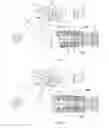 Fig. 06 - Dispensing device