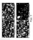 Fig. 08 - Surfactant based small molecules for reducing aluminosilicate scale in the Bayer process