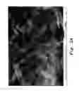 Fig. 03 - Method for producing water dispersible CuO nanostructures
