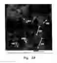 Fig. 04 - Method for producing water dispersible CuO nanostructures