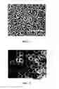 Fig. 02 - PROCESS FOR PREPARING RECYCLABLE TEMPLATE HOLLOW PARTICLES USING SOLVENT-BASED SILICA PRECURSORS