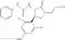 Fig. 447 - Urea derivative or pharmacologically acceptable salt thereof