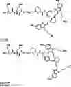 Fig. 86 - PSMA-targeted NIR dyes and their uses