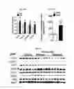 Fig. 22 - Analogs of fexaramine and methods of making and using
