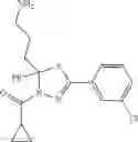 Fig. 29 - Mitotic kinesin inhibitors and methods of use thereof