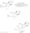 Fig. 12 - Crystalline derivatives of (S)-1-((2R,3R,4S,5S)-5-allyl-3-methoxy-4-(tosylmethyl)tetrahydrofuran-2-YL)-3-aminopropan-2-ol