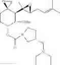 Fig. 166 - Fumagillol heterocyclic compounds and methods of making and using same