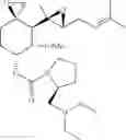 Fig. 176 - Fumagillol heterocyclic compounds and methods of making and using same