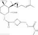 Fig. 197 - Fumagillol heterocyclic compounds and methods of making and using same