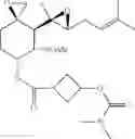Fig. 205 - Fumagillol heterocyclic compounds and methods of making and using same