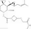 Fig. 211 - Fumagillol heterocyclic compounds and methods of making and using same
